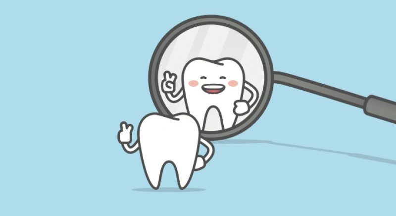 A ortodontia funcional e seus avanços técnicos