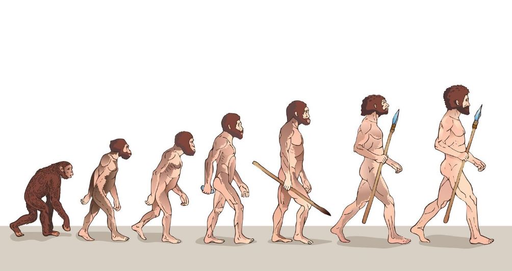 O caminhar da evolução