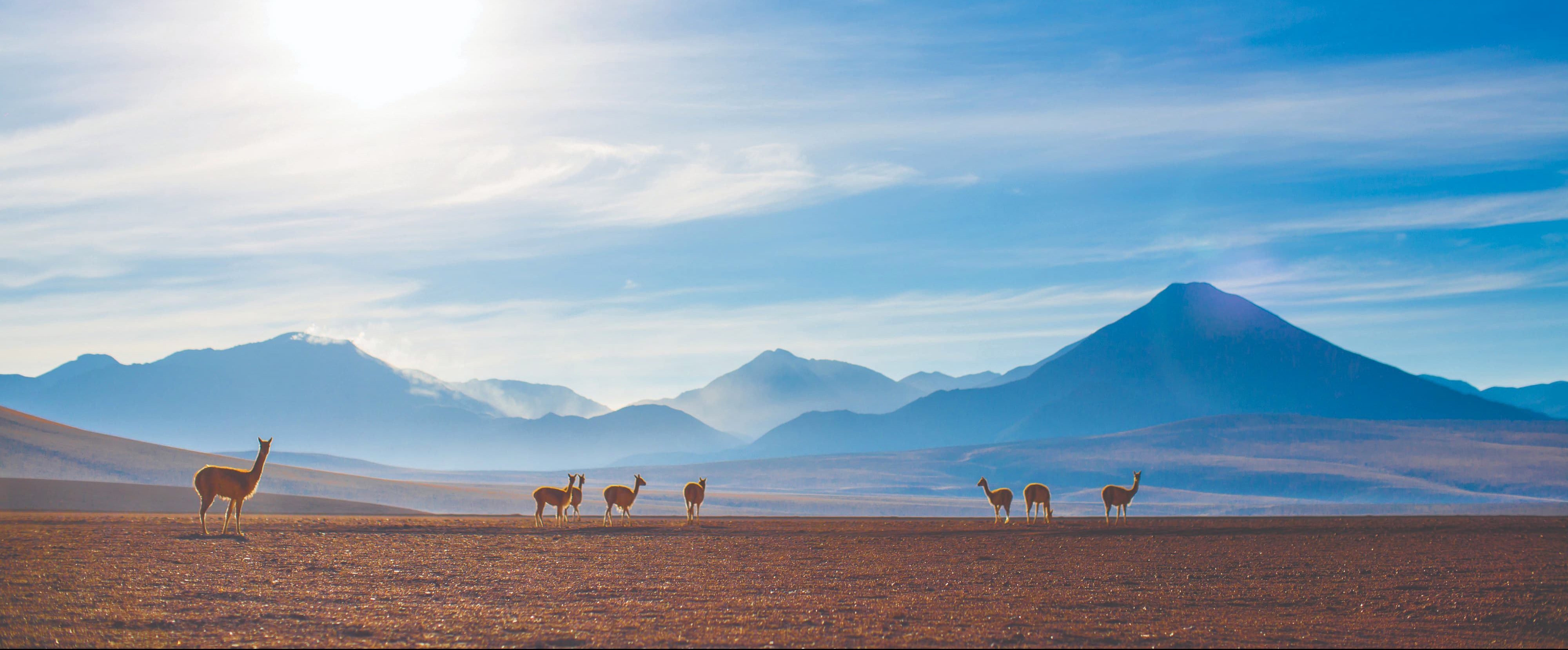 Deserto do Atacama reserva paisagens exóticas, em uma viagem para “outro mundo”