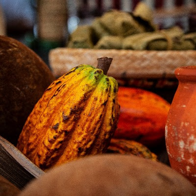Feira Sabor Nacional destaca a importância da cultura indígena na gastronomia
