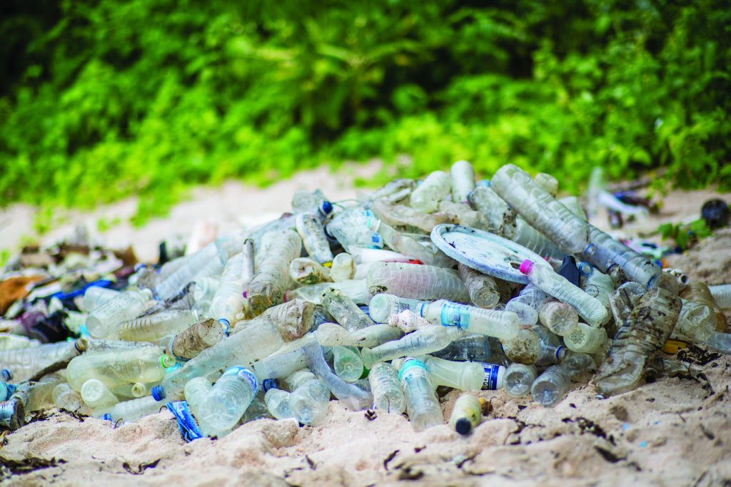Lixo encontrado em ilha deserta - Divulgação Família Schurmann - Foto Pedro Nakano