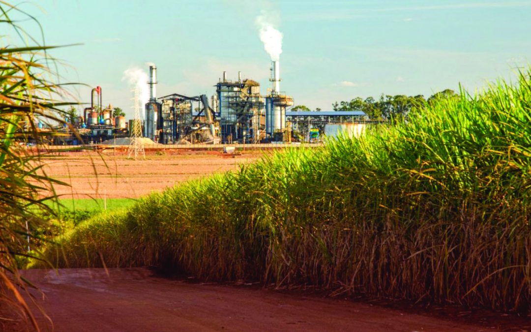 Demanda internacional por etanol e a alta nas exportações brasileiras