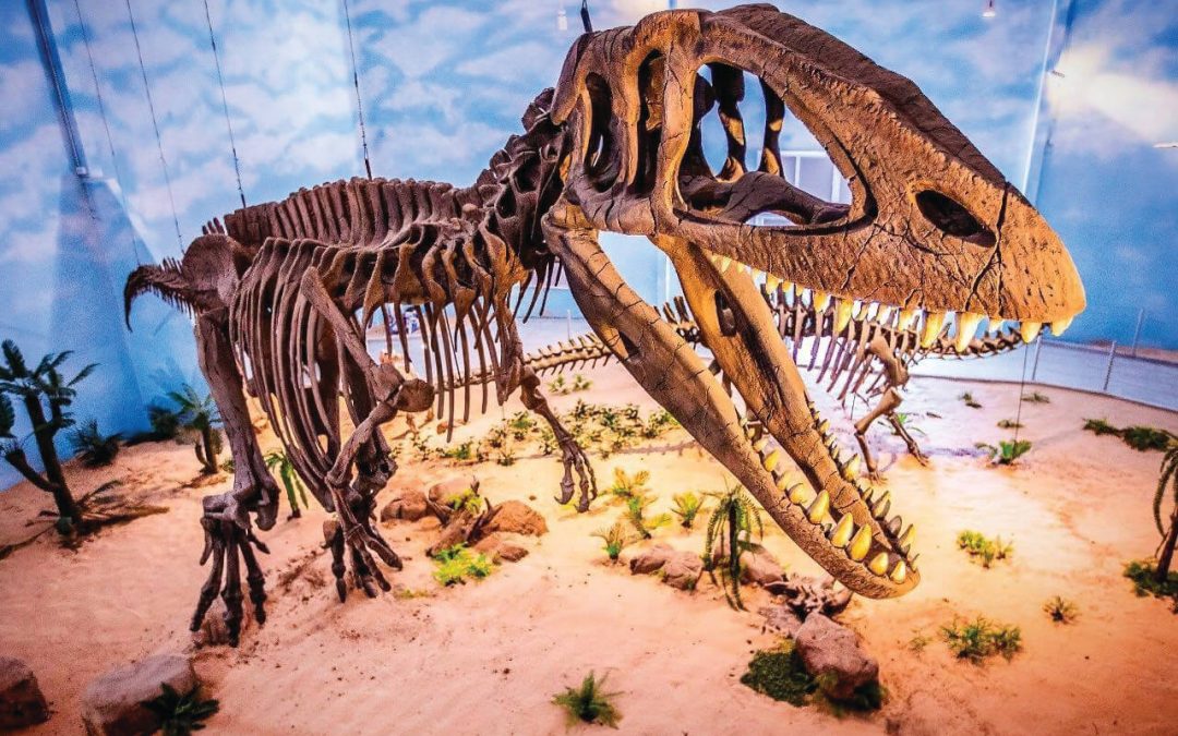 Dinossauros são as novas atrações de Itatiba