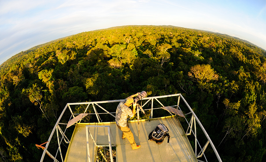Torre de observação de pássaros e diversas espécies da região amazônica - Foto: Divulgação
