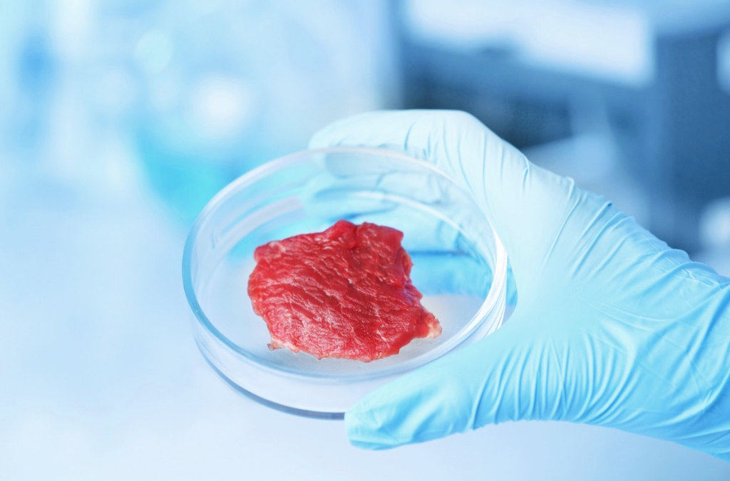 JBS e BRF se associam a empresas da Espanha e de Israel para lançar carnes de laboratório