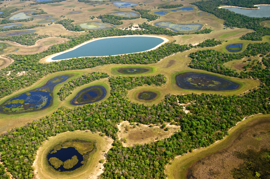 Planícies alagadas do Pantanal - Fotos Luciano Candisani e Gustavo Figueirôa