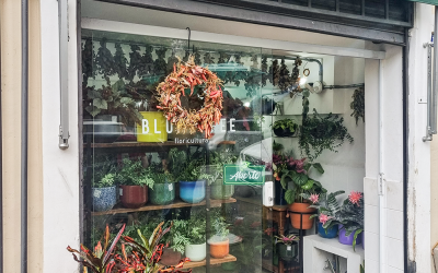Conheça 5 floriculturas descoladas na região central de São Paulo