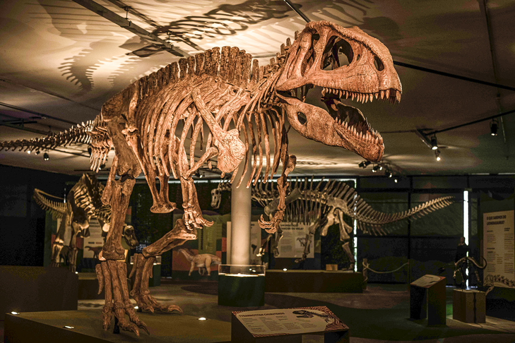 Exposição "Expodinos – O Maior Dinossauro do Mundo" - Foto Caio Gallucci