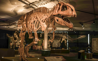 BarraShopping recebe a exposição “Expodinos – O Maior Dinossauro do Mundo”