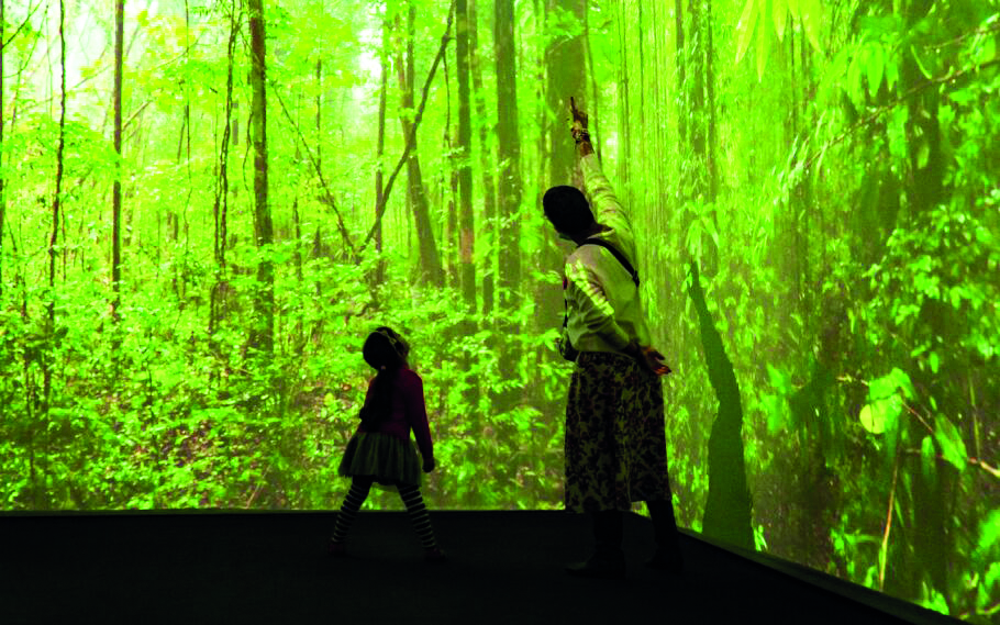 Museu do amanhã oferece tour imersivo pela floresta na exposição “Sentir o Mundo – Uma Jornada Imersiva”