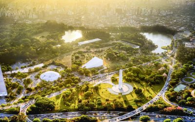 Parque Ibirapuera completa 70 anos como ícone arquitetônico e oásis verde na metrópole